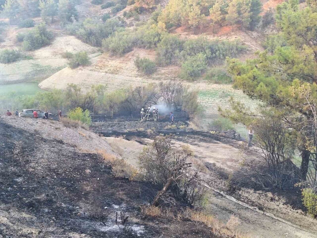 Araç yangınıyla başlayan orman yangını kısa sürede söndürüldü