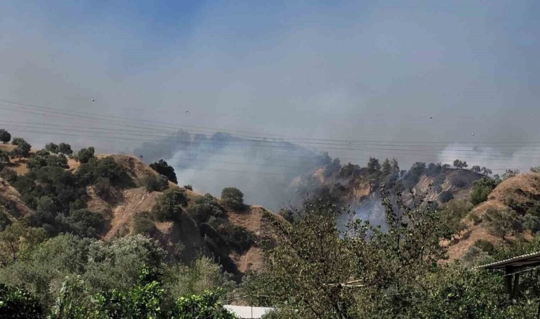Aydın’ın Efeler ilçesinde zirai alanda başlayan yangın, rüzgarın etkisiyle ormanlık