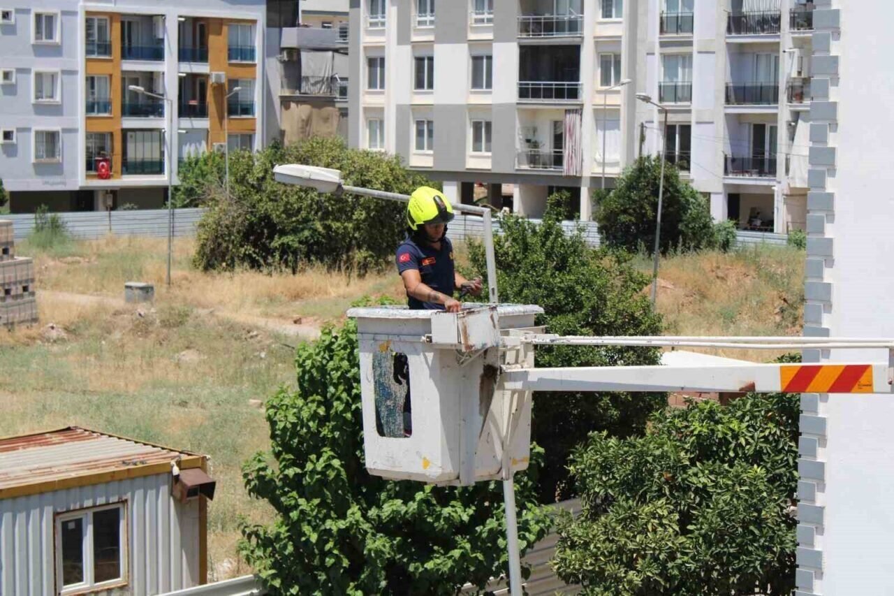 Aydın’da balkonda sıkışan kumruyu vatandaşın dikkati kurtardı