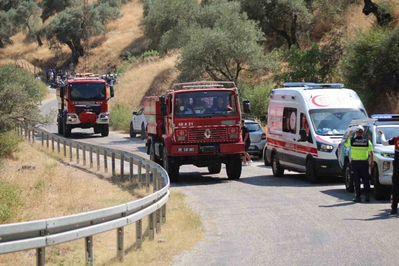Aydın’daki orman yangını kontrol altına alındı