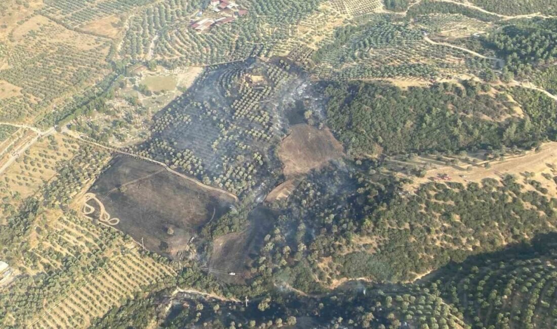 Aydın’ın Kuyucak ilçesinde zirai ve makilik alanda çıkan yangın ekiplerin