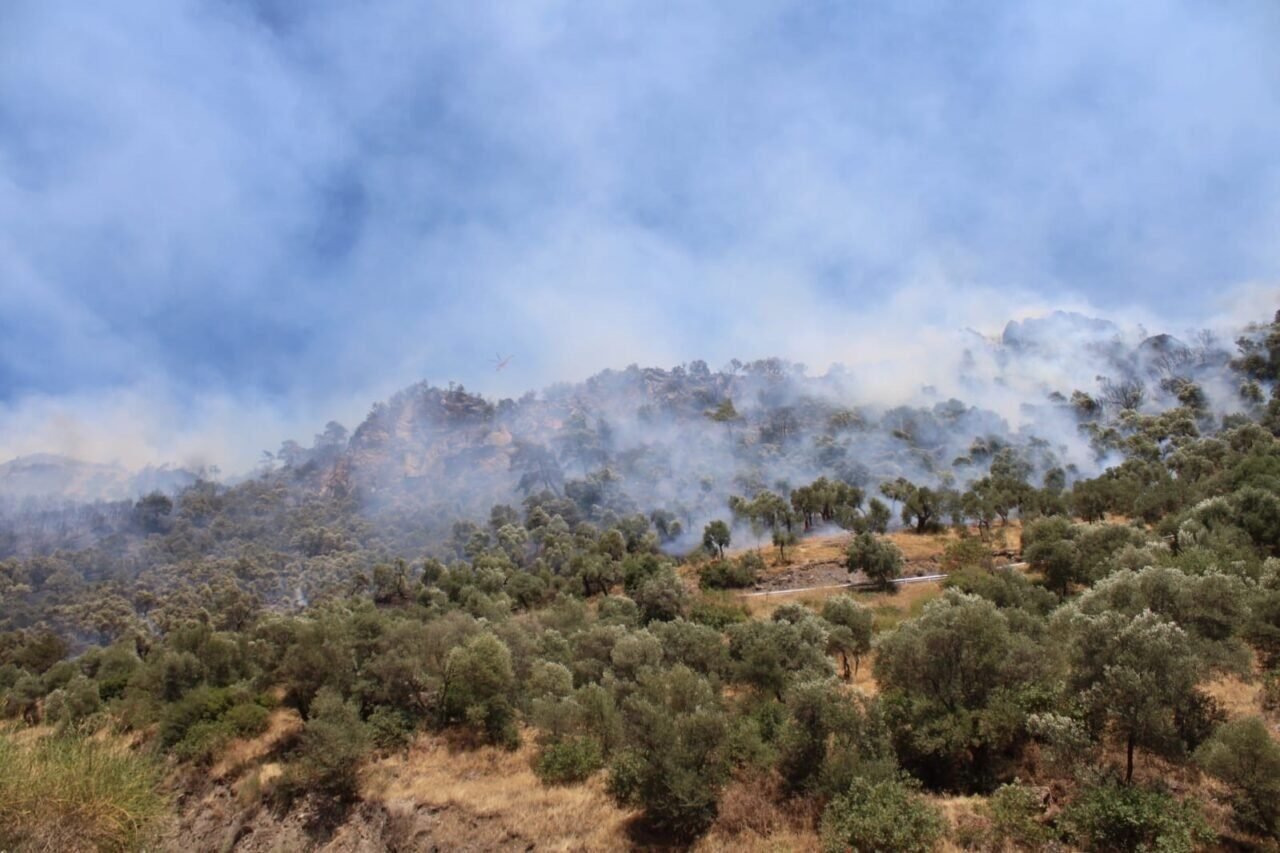 Aydın’daki yangına müdahale sürüyor