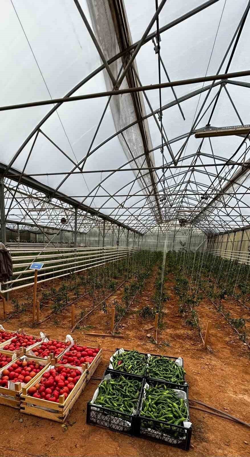 Başkan Çerçioğlu’nun tarıma ve üreticilere destekleri sürüyor