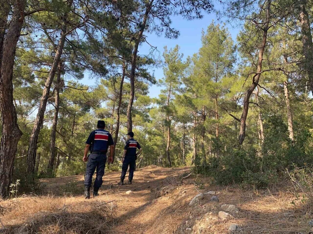 Bozdoğan’da ormanlar gözetleniyor