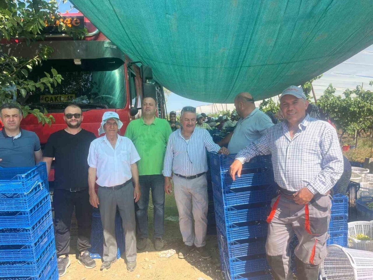 Buldan’ın meşhur üzümü Avrupa ve Arap ülkelerinden talep alıyor