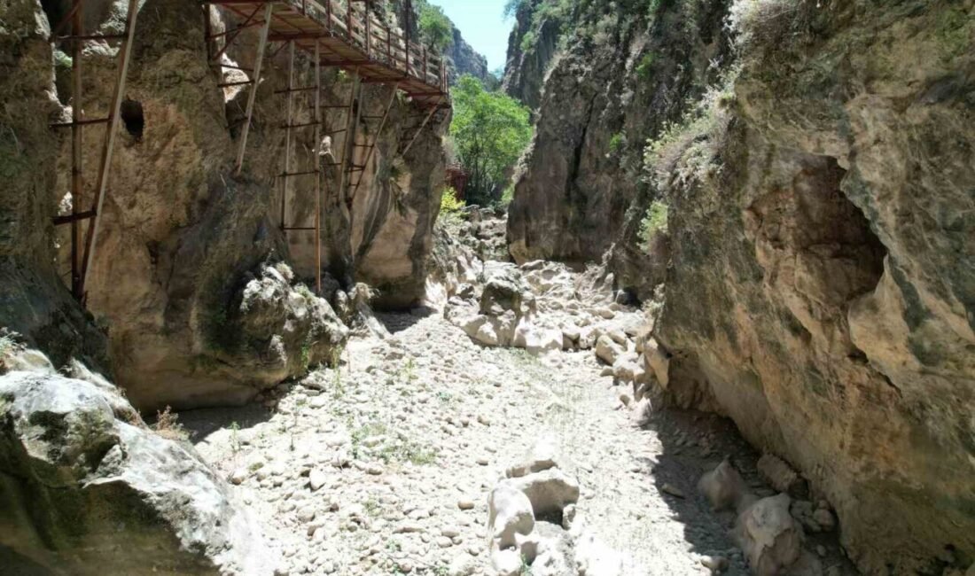 Ege Bölgesinin can damarlarından Büyük Menderes Nehrinin kuruması, bölgede ciddi
