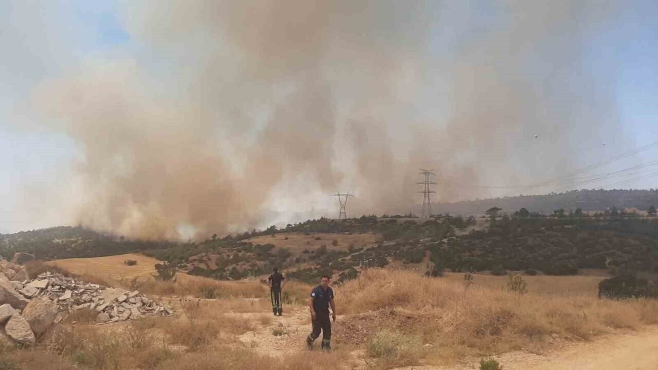 Çal’da çıkan orman yangını söndürüldü