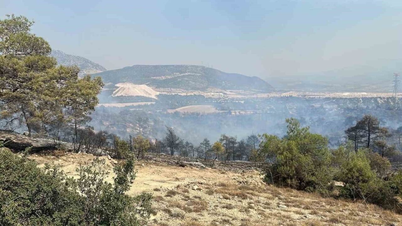 Çal’da çıkan orman yangını söndürüldü