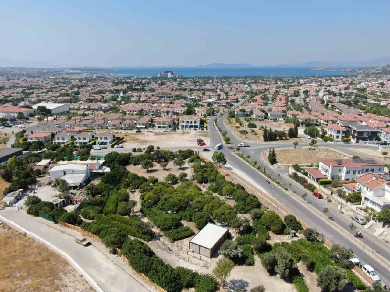 Çeşme’de ağaçlardan sakız damlayacak