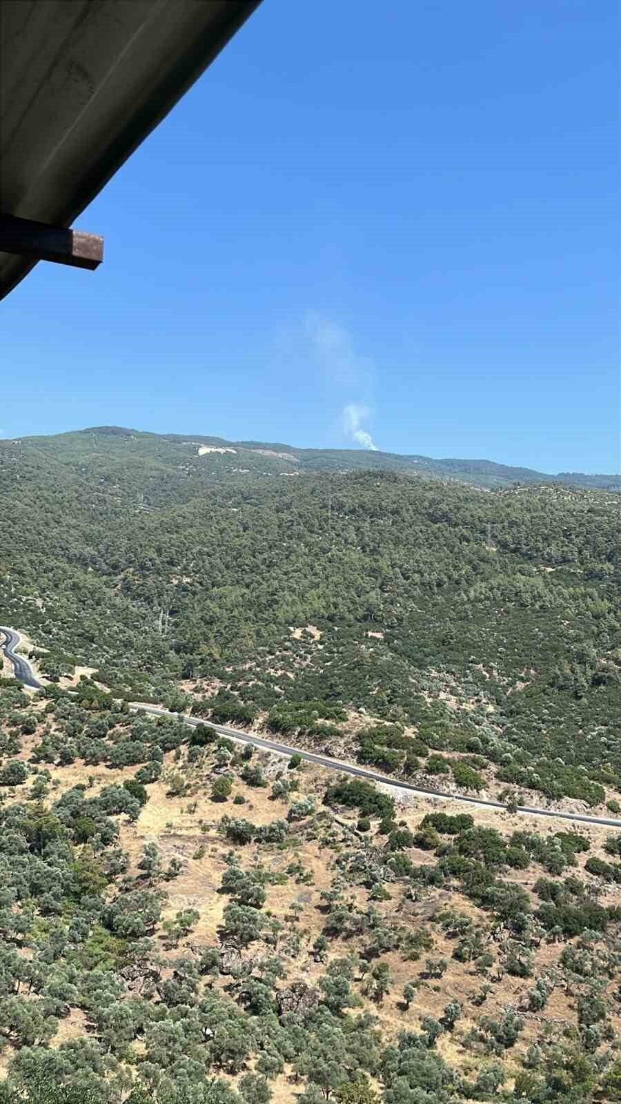 Çine’de orman yangını