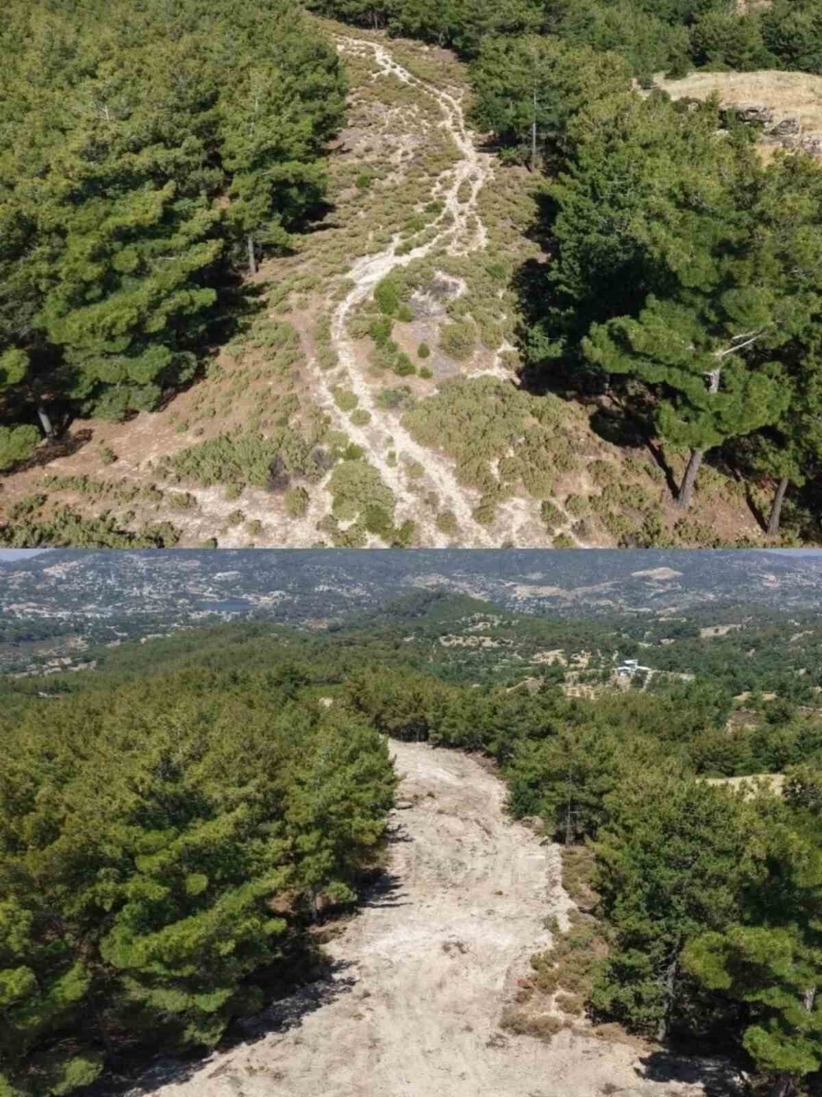 Çine’de orman yangınlarına karşı önleyici temizlik çalışması yapıldı