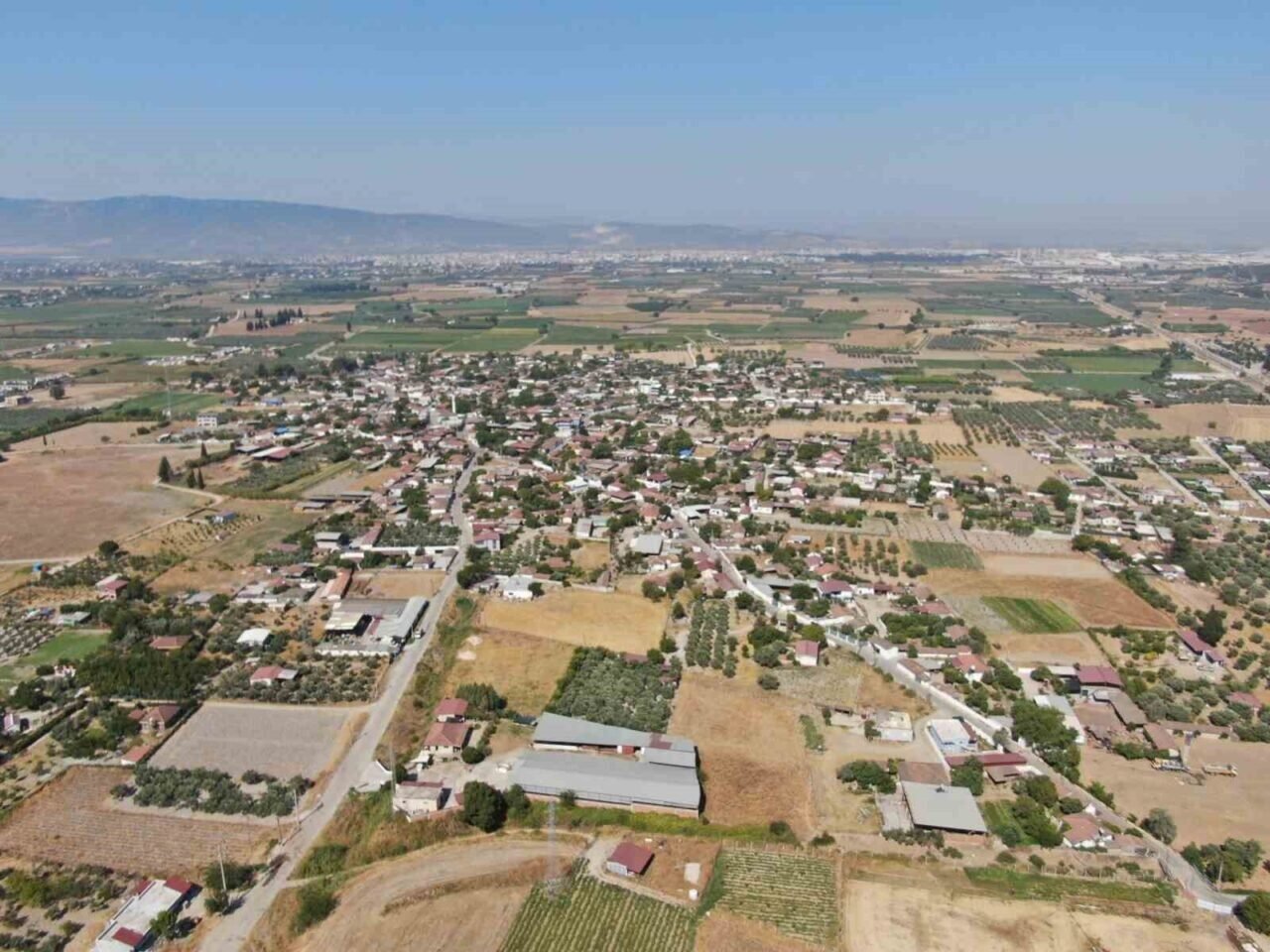 Coğrafi işaretli Arslanlar biberinde hasat dönemi başladı