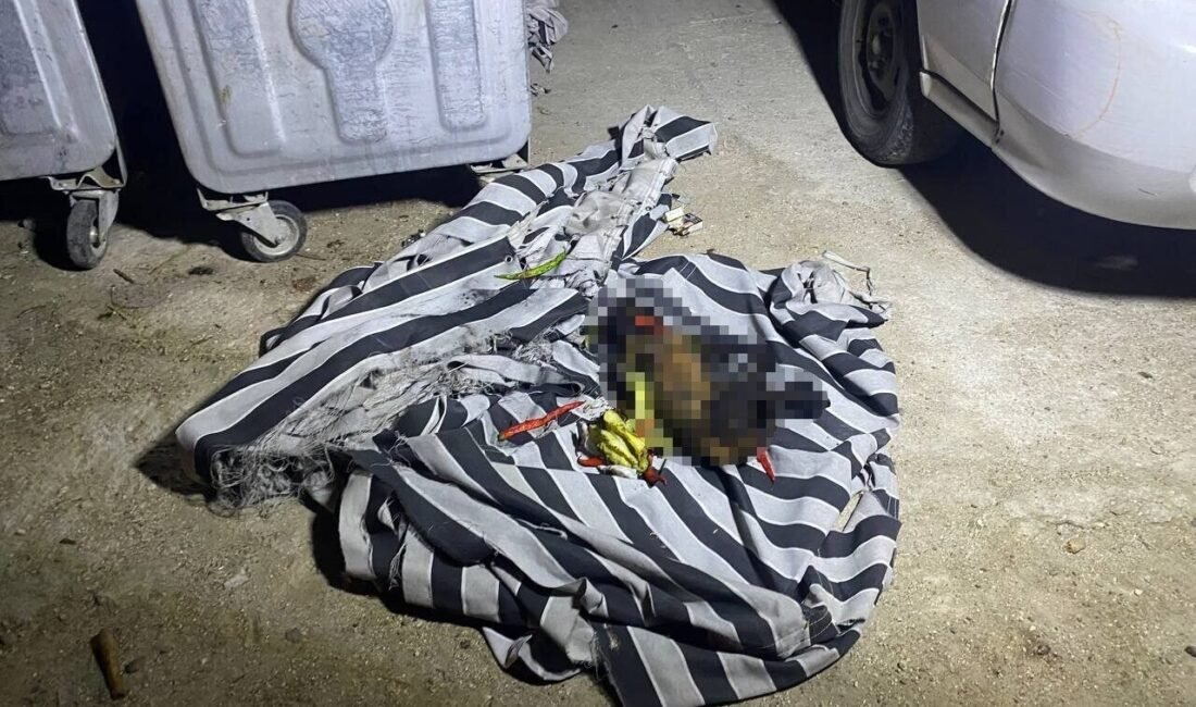 Antalya’nın Serik ilçesinde çöp konteynırında çıkan yangını vatandaşlar hortumla söndürdü.
