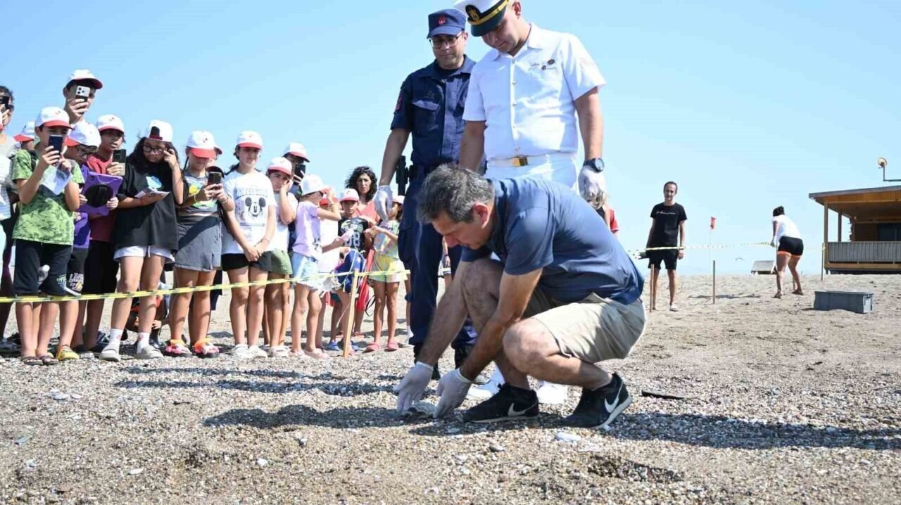 Çuvala dolanmış halde yaralı bulunan Caretta caretta denizle buluştu