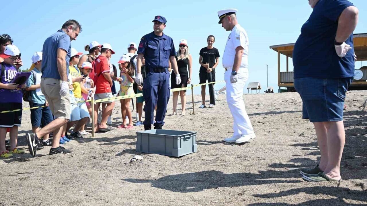 Çuvala dolanmış halde yaralı bulunan Caretta caretta denizle buluştu