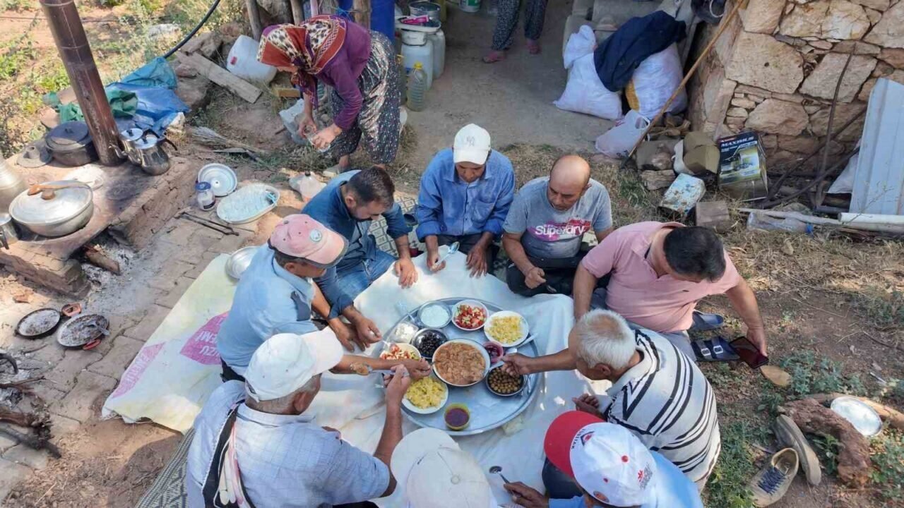 Demirci’de buğday ve arpalar imece usulüyle hasat ediliyor