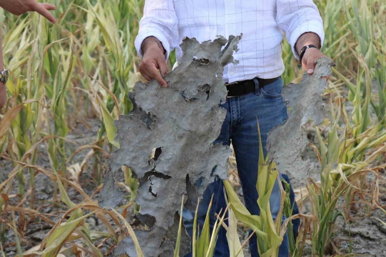 Denizli DESKİ’nin ihmalini TBMM’ye taşıyan Vekil; "CHP’li belediyenin çevreci maskesi düştü"
