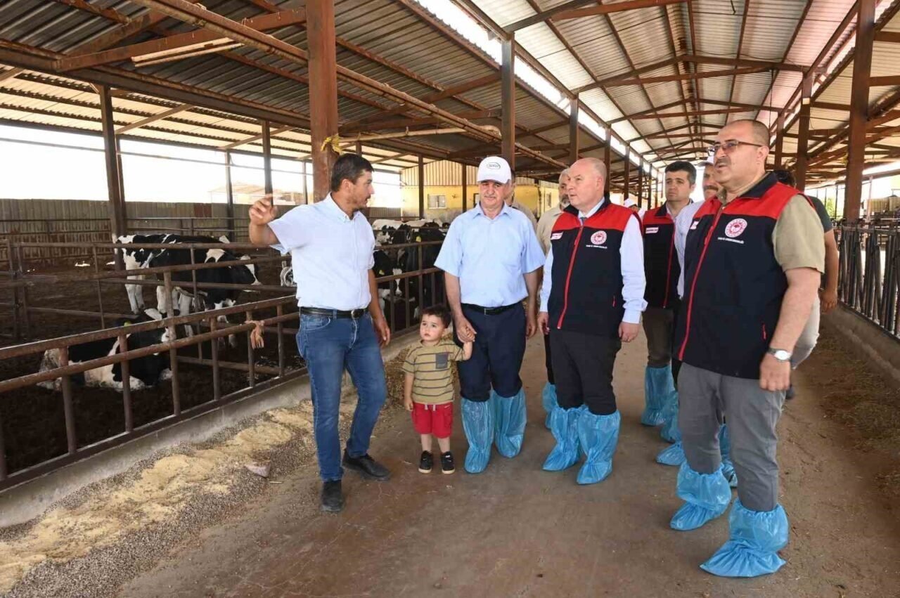 Denizli’de 511 bin ton inek sütü üretiliyor