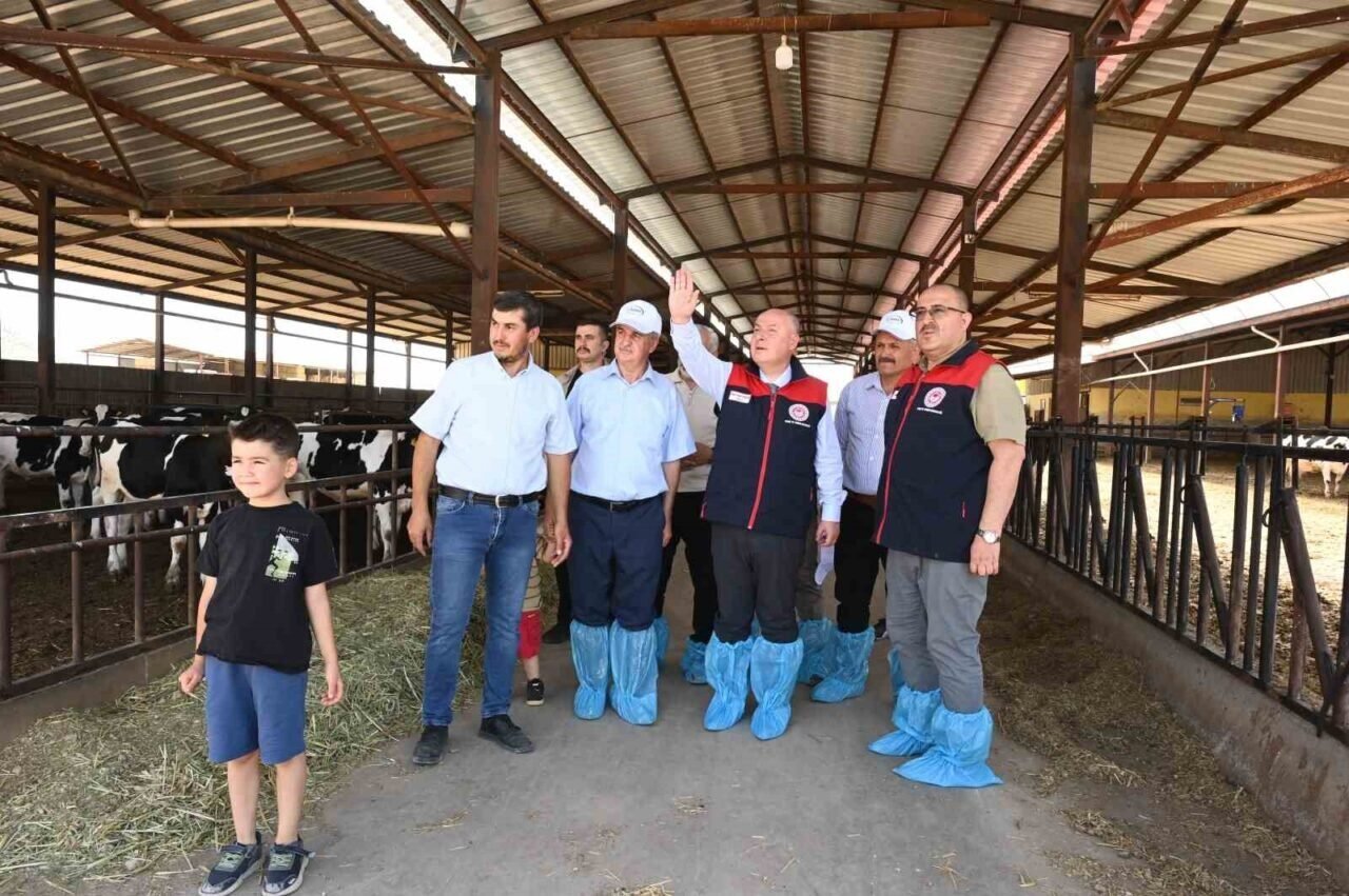 Denizli’de 511 bin ton inek sütü üretiliyor