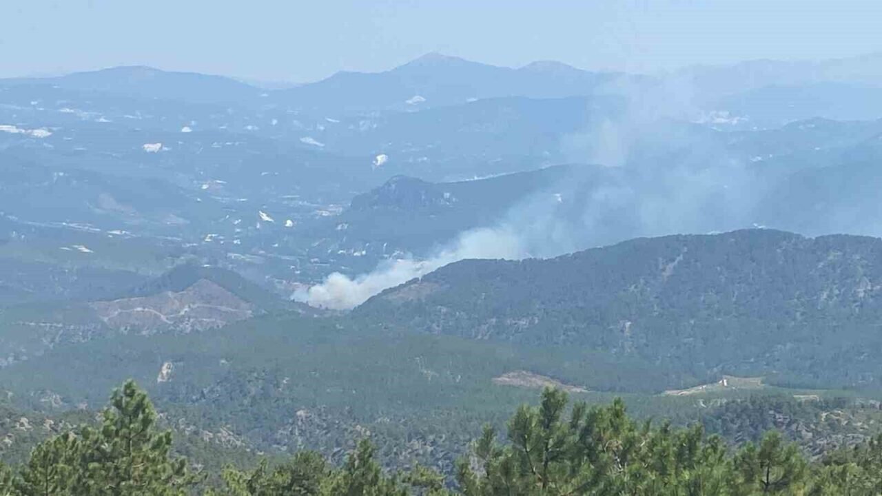 Denizli’de boş evde çıkan yangın ormana sıçradı