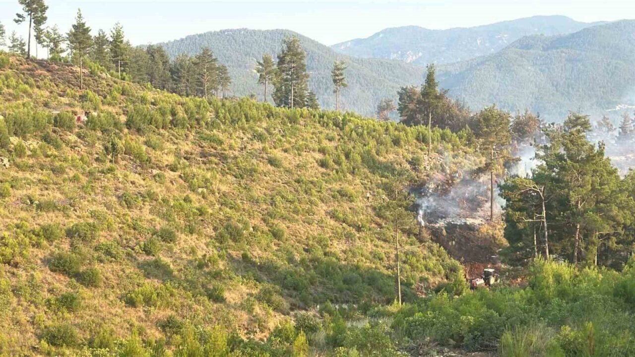 Denizli’deki orman yangını kısmen kontrol altına alındı