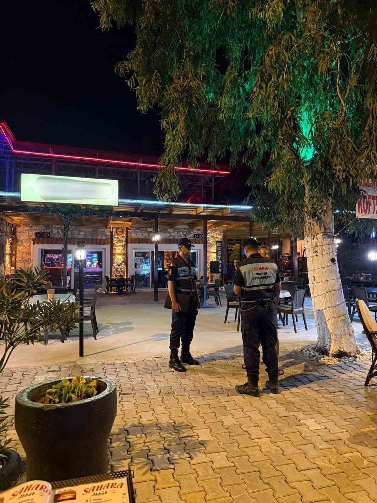 Didim ve Sultanhisar’da 404 şahıs, 101 araç sorgulandı