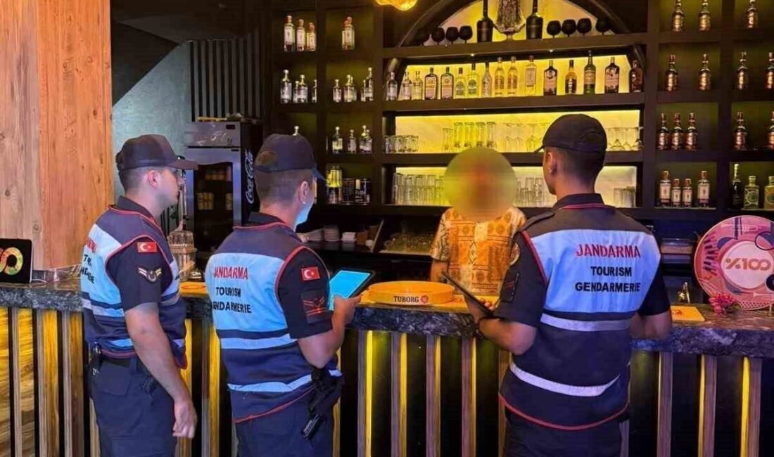 Aydın’ın Didim ve Sultanhisar ilçelerinde jandarma tarafından gerçekleştirilen sıcak nokta