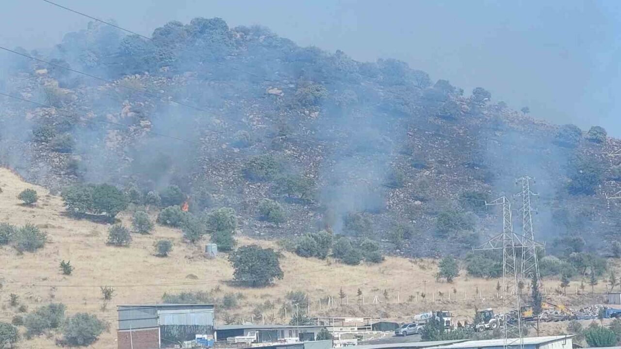 Dikili’de orman yangını: Çanakkale yolu ulaşıma kapatıldı