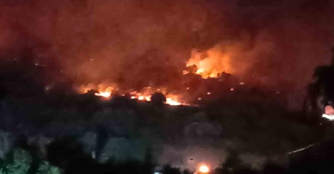 İzmir’i Dikili ilçesinde makilik alanda çıkan yangın ormana sıçradı. İzmir-Çanakkale