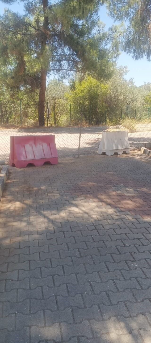 Dünyaca ünlü antik kentte kuru otlar temizlendi
