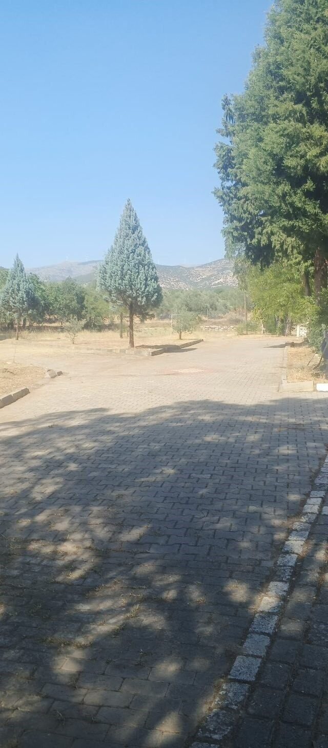 Dünyaca ünlü antik kentte kuru otlar temizlendi