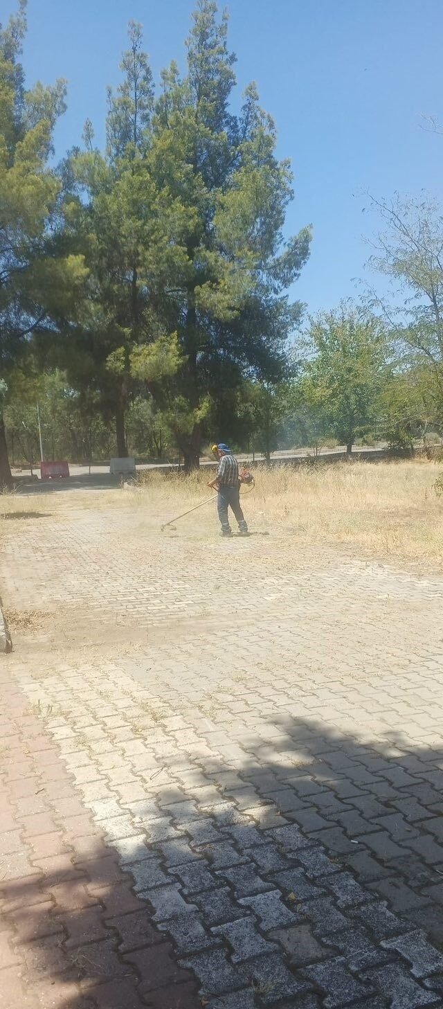Dünyaca ünlü antik kentte kuru otlar temizlendi