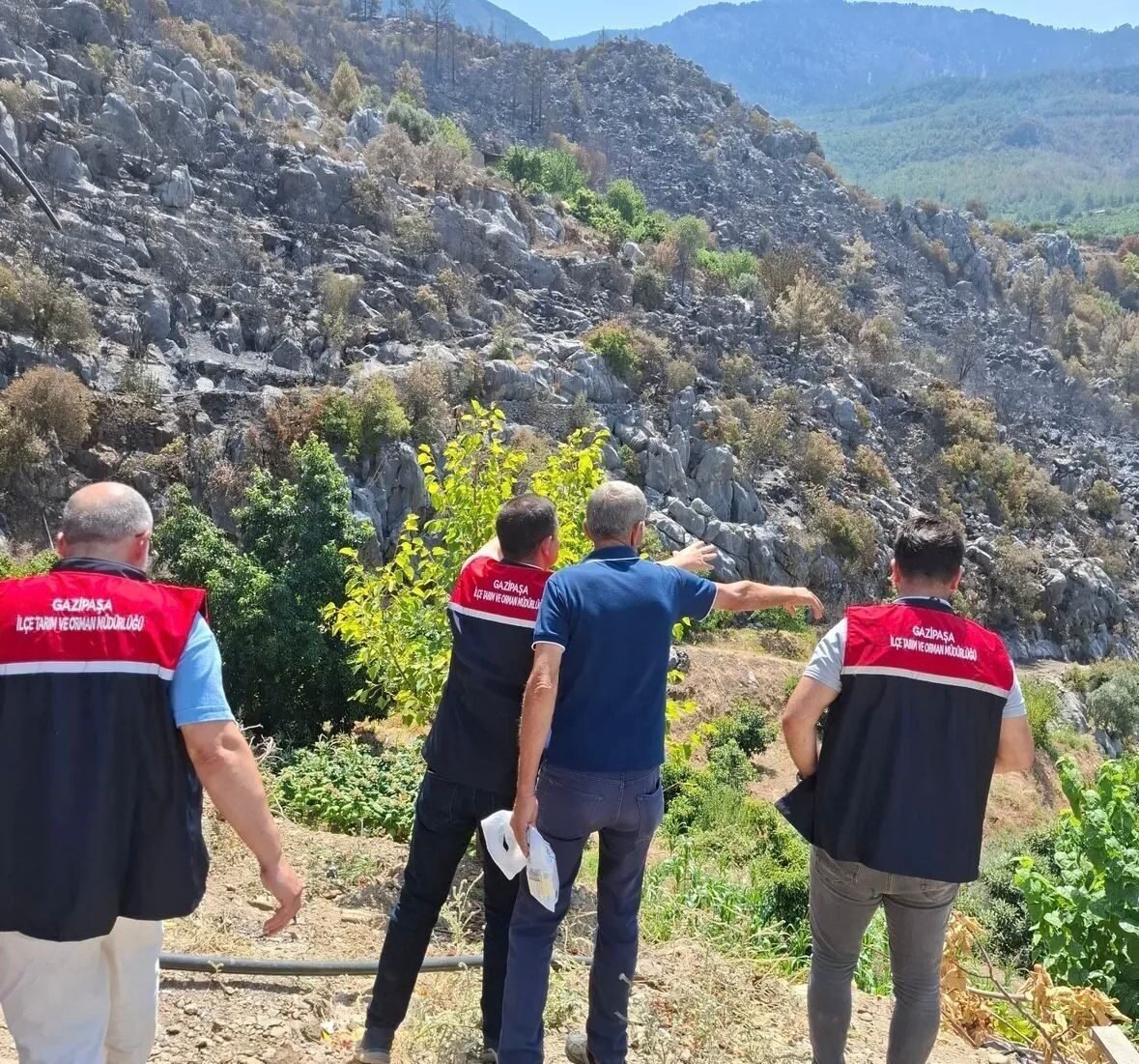 Gazipaşa’da yangın mağduru üreticilerin hasarı tespit edildi