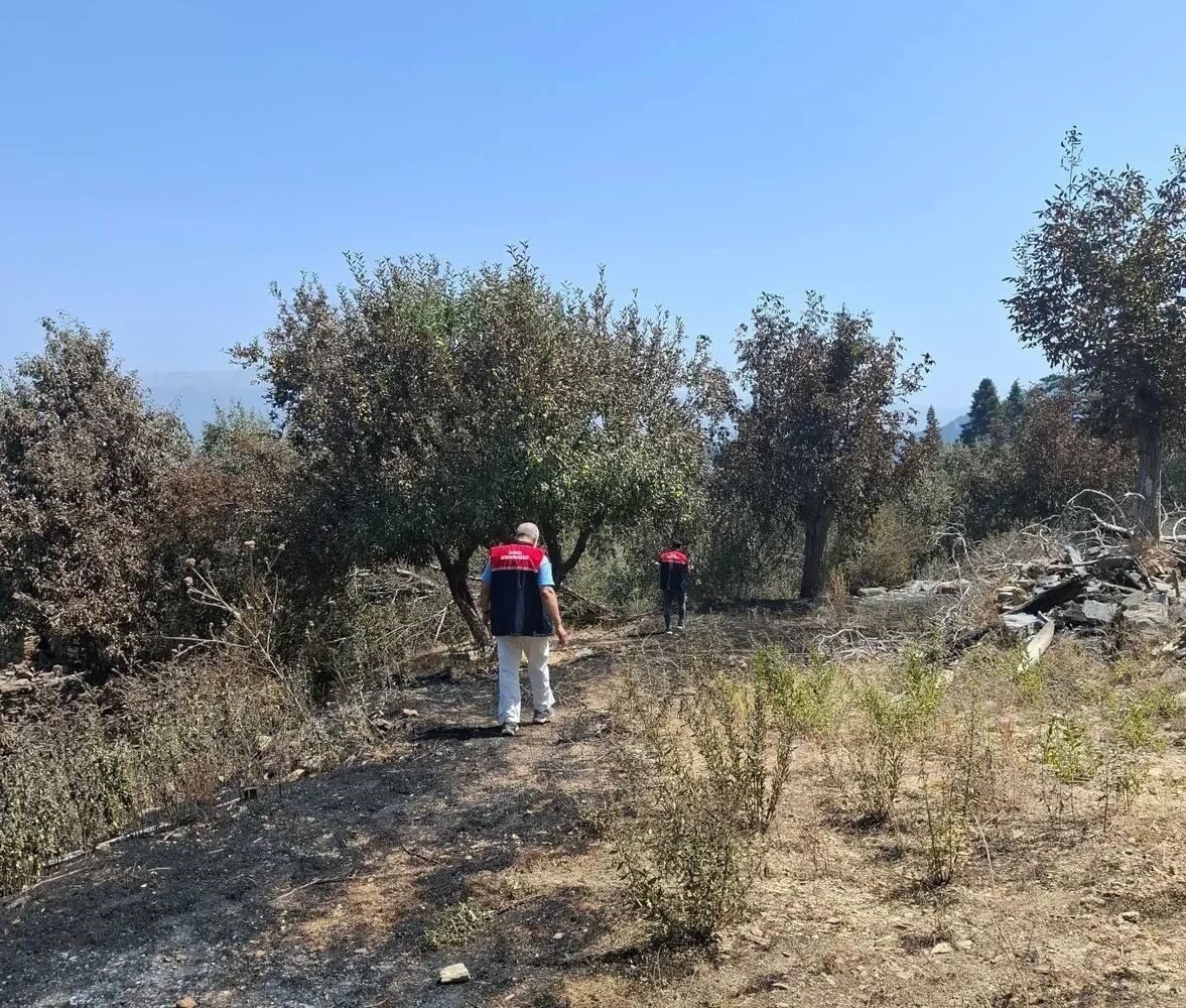 Gazipaşa’da yangın mağduru üreticilerin hasarı tespit edildi