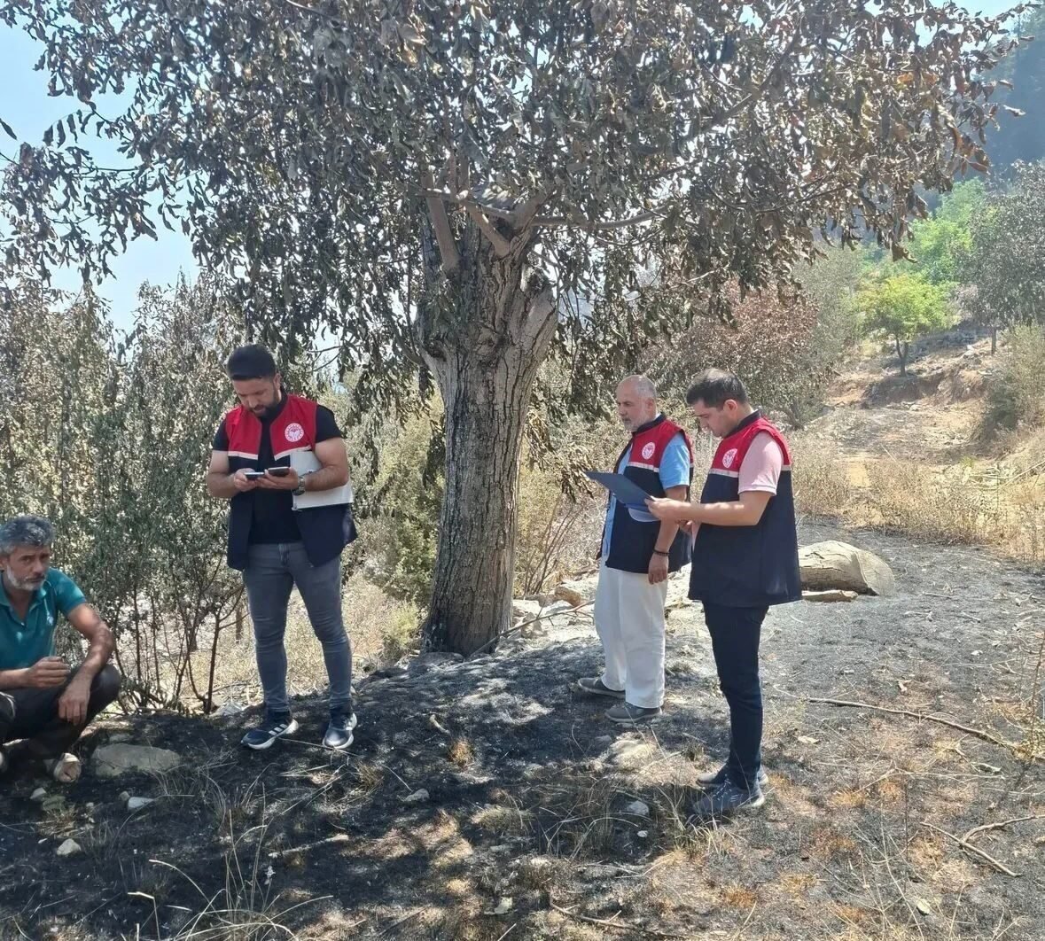 Gazipaşa’da yangın mağduru üreticilerin hasarı tespit edildi