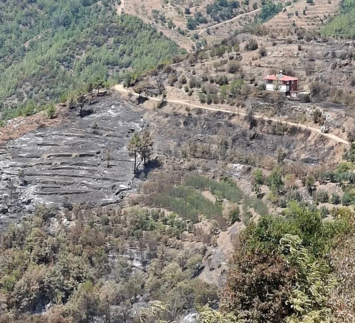 Gazipaşa’da yangın mağduru üreticilerin hasarı tespit edildi