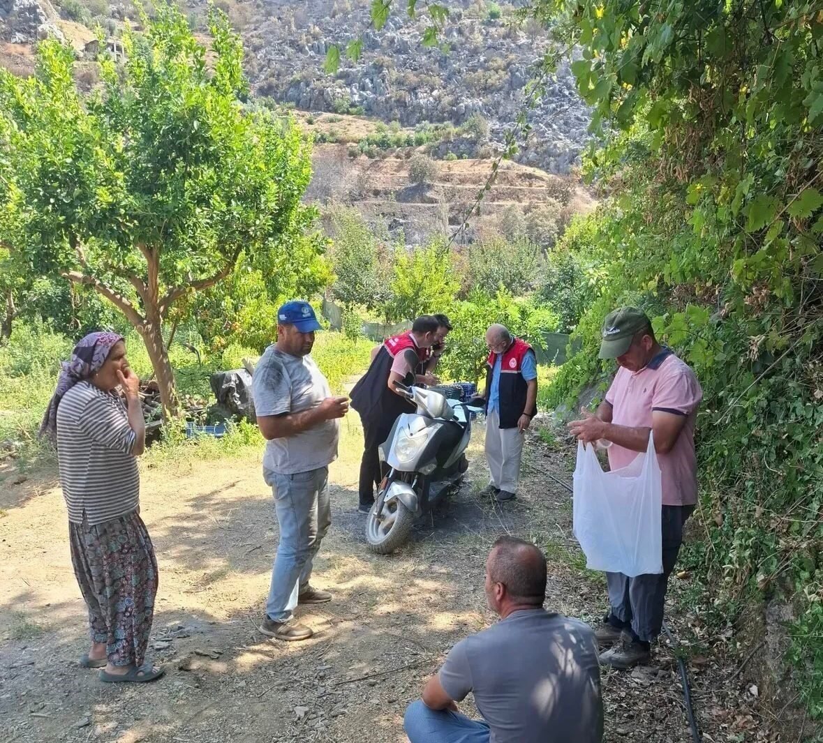 Gazipaşa’da yangın mağduru üreticilerin hasarı tespit edildi Gazipaşa’da yangın mağduru üreticilerin hasarı tespit edildi