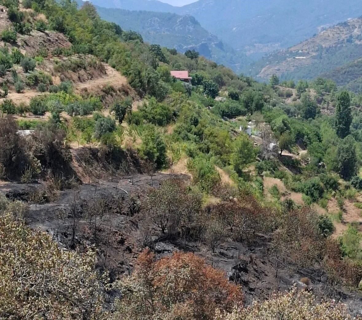 Gazipaşa’da yangın mağduru üreticilerin hasarı tespit edildi