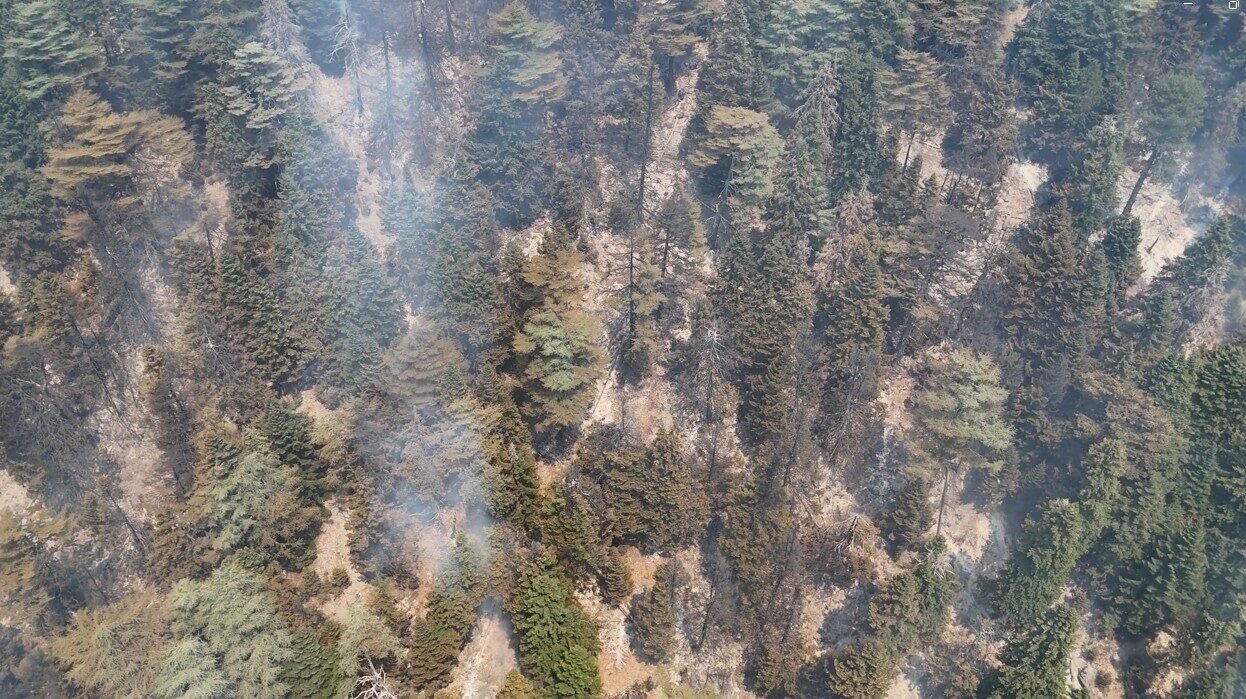 Gazipaşa’daki orman yangını 3. gününde kontrol altına alındı