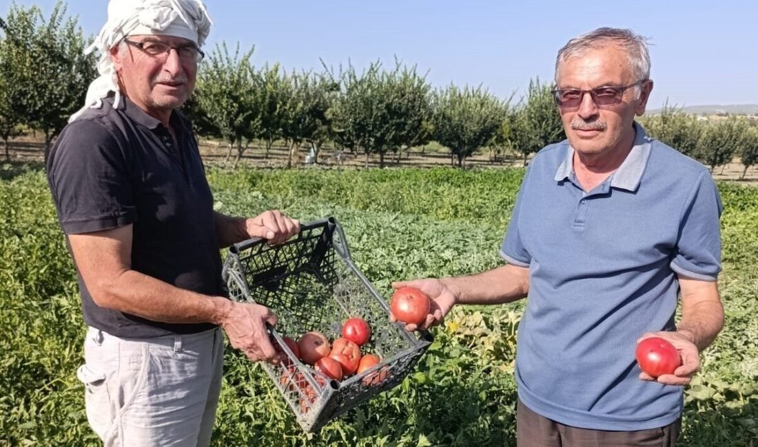 Manisa’nın Gördes ilçesinde emekli öğretmen Ahmet Özdemir ile uzun yıllar