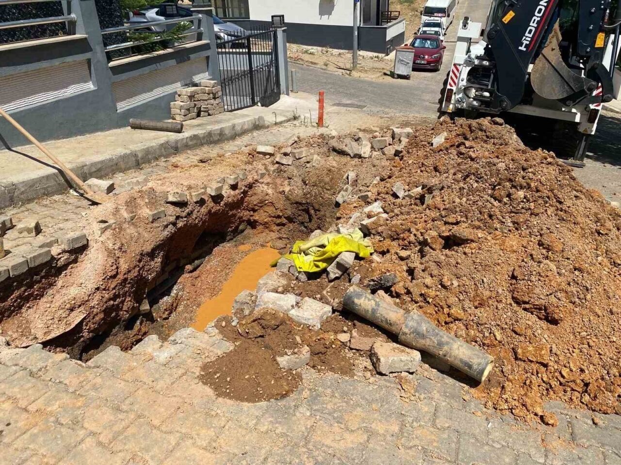 İzmir’de boşa akan su, domuzlara park oldu