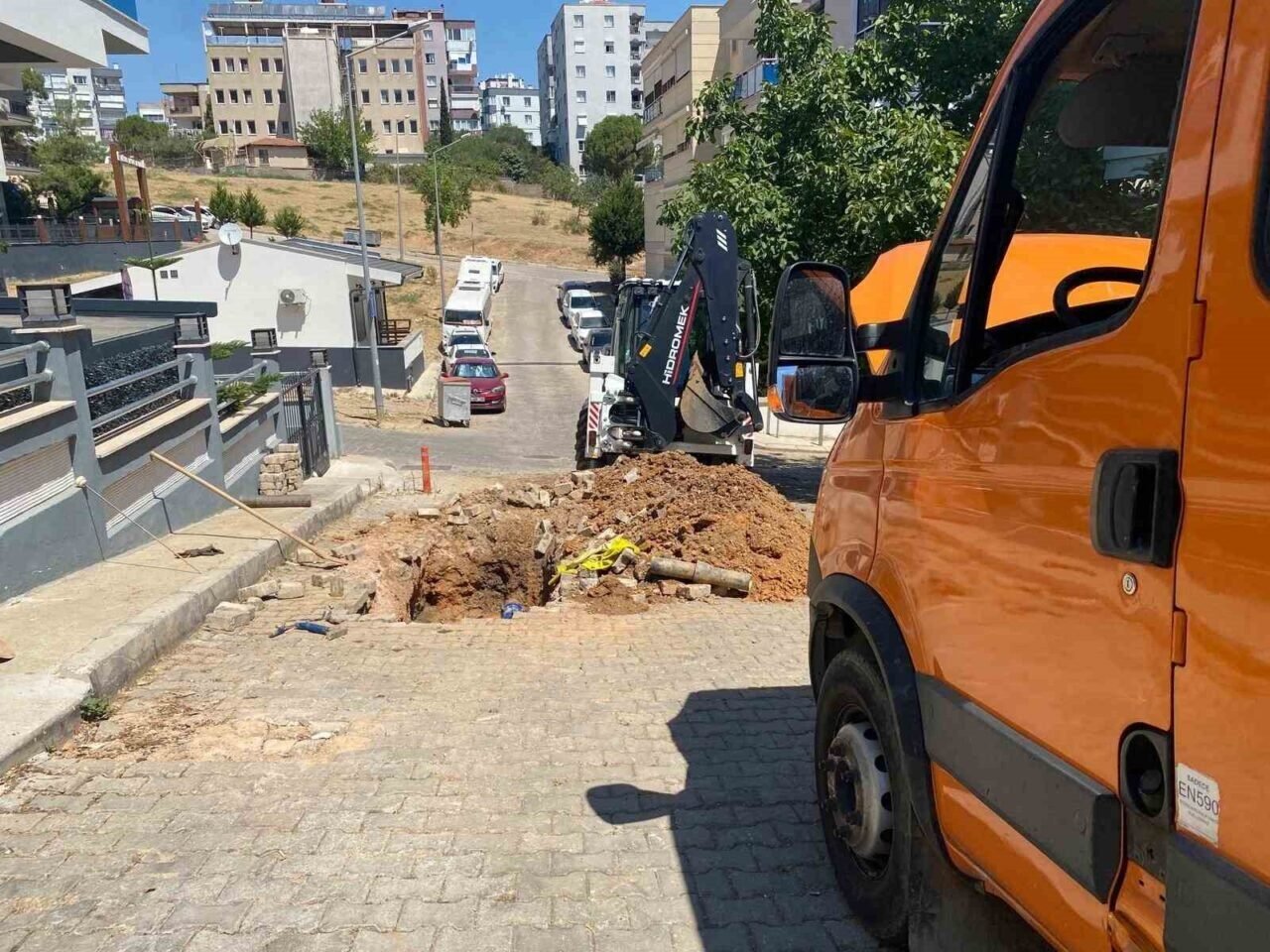 İzmir’de boşa akan su, domuzlara park oldu