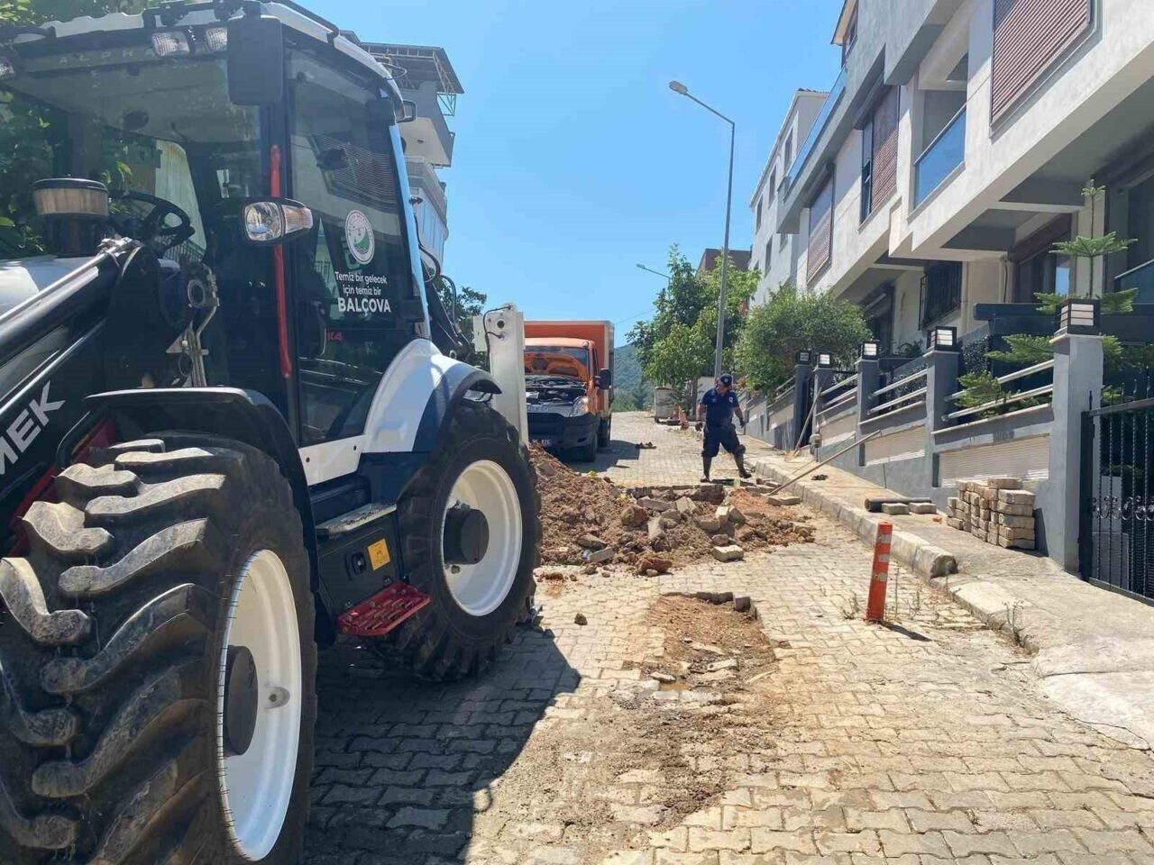 İzmir’de boşa akan su, domuzlara park oldu