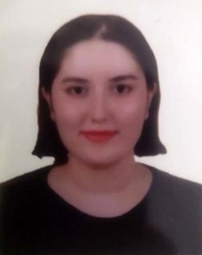 İzmir’deki elektrik akımına kapılan 2 kişinin ölümüne ilişkin davada sanık sayısı arttı