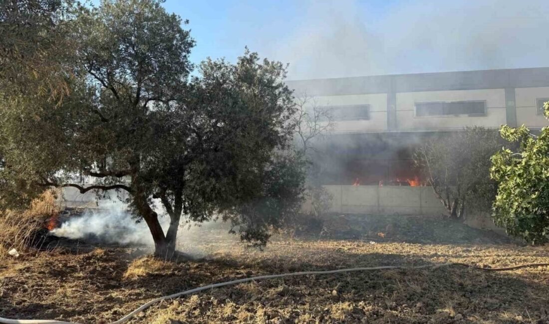 İzmir’in Kemalpaşa ilçesinde park halindeki kamyonette başlayıp fabrikaya sıçrayan yangın