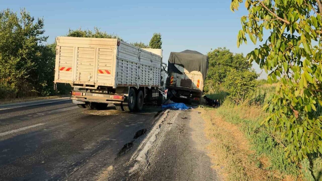 Kamyonundaki arızayı kontrol için inen sürücü başka bir kamyonun altında kaldı