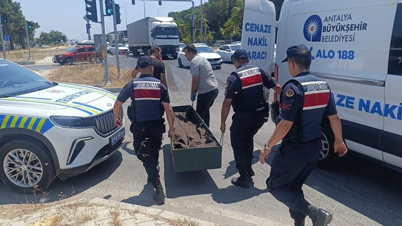 Kanserle savaşını kazandı, trafikte hayatını kaybetti