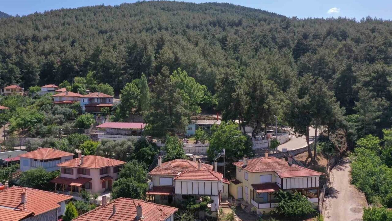 Karacasu Belediyesi’nden yangın uyarısı: "Bir kıvılcım, bir felakete sebep olabilir" Karacasu Belediyesi’nden yangın uyarısı: "Bir kıvılcım, bir felakete sebep olabilir"