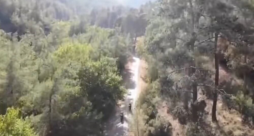 Aydın’ın Karacasu ilçesinde hava sıcaklıklarının 46 dereceye kadar çıkması ve