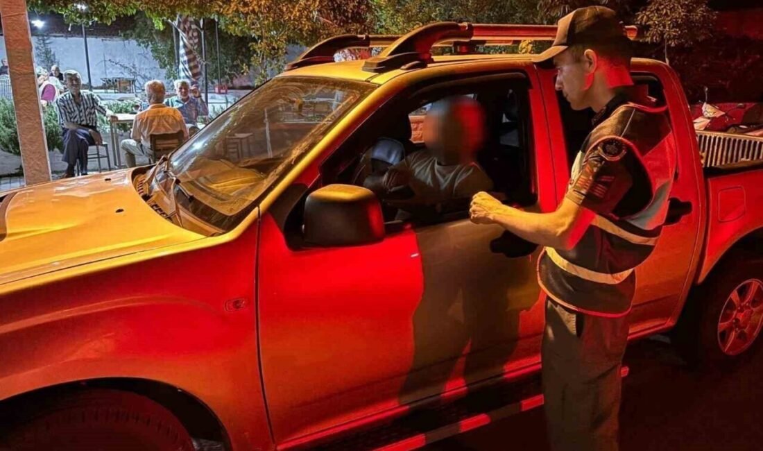 Aydın’ın Karacasu ilçesinde jandarma tarafından yapılan sıcak nokta uygulamasında 167